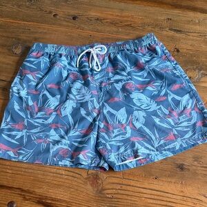 Huk Blue and Red Swim Trunks